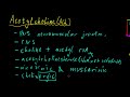 Part 11 - Neurotransmitters and Neuromodulators