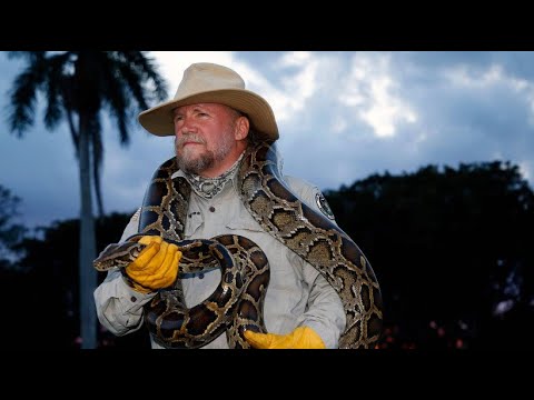 Florida zahlt ein Kopfgeld für jeden Python