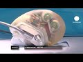 euronews science - A