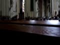 den bosch cathedral organ