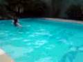 videos de 1028081523-00.3gp