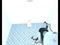 Portal Flinging skills on dell dimension 4300