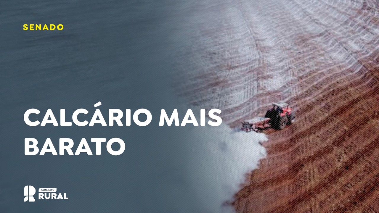 Calcário para uso agrícola deve ficar mais barato.