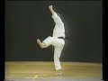Hangetsu - Shotokan Karate