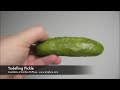 Yodelling Pickle Yodeling - From Archie McPhee