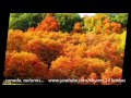nepali super hit remix ''banma fulyo ful'''