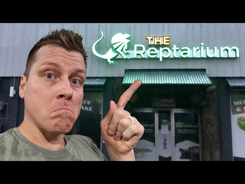 YouTube reptile video