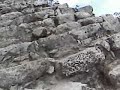 Climbing UP Nohoch Mul Pyramid at Coba Climbing UP Nohoch Mul Pyramid at Coba