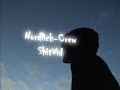 Nordlicht-Crew-ShitVid