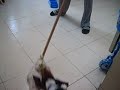 doogal-perron-malo.html