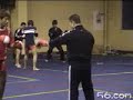 田金龙 Taiji Sanda