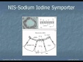 Iodine Deficiency -... View Video