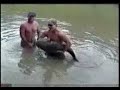Cat Fishing in Mississippi