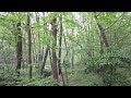 Click here to watch this video 散歩・「シャノンの第一定理に関する経験談」