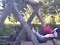 Random Day In Bushy