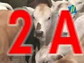 Thumbnail #3