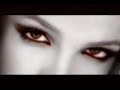 shadow-