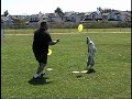 Fremont Frisbee Competition