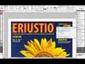 Innovaciones InDesign CS3 - Lección 4