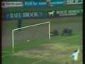 LUFC UPS AND DOWNS