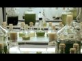 Replenish Energy 6 min