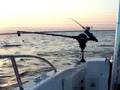 Trolling at Sheboygan