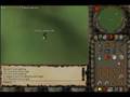 Barrows