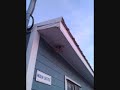 I liked a @YouTube video http://t.co/s0ASmaJA ess.WMV