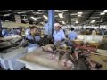 Deira Fish Market