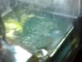 Sump