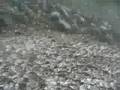 白馬岳動画2