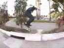 ryan sheckler