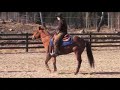 Clinic Reining Anders Josefsson 080405-06 Thomas 1