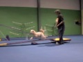 1-01-10 toggle ramp work.m4v