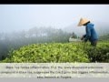 Benefits of Black tea Benefits of Black tea
