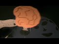 Las caras de la luna