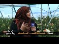 بيتكم-عامر-ميداني-ربيعنا-زهور
