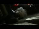 28 Days Later (2002) - Theatrical Trailer 28 Days Later (2002) - Theatrical Trailer