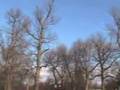 Second video of Great Falls UFO Sighting 12-27-07