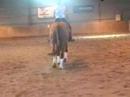 Dressage training march