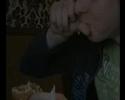 junkfood