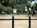 elephant show
