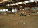 Agility Large A Agility Large A