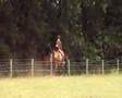 videos de Lits+Lauwers039 Hamsherne03