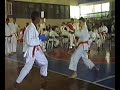 Lutas no Transit�rio da Shotokan de Karate