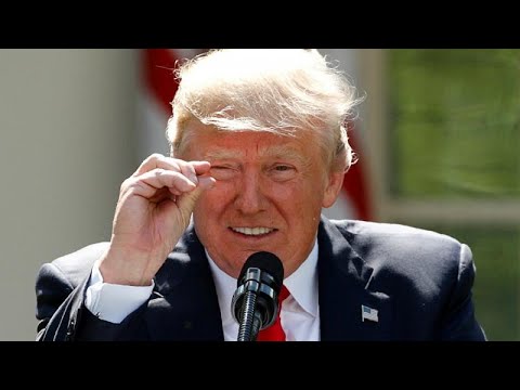 USA: Trump sagt Militrparade ab und gibt Washington Sc ...