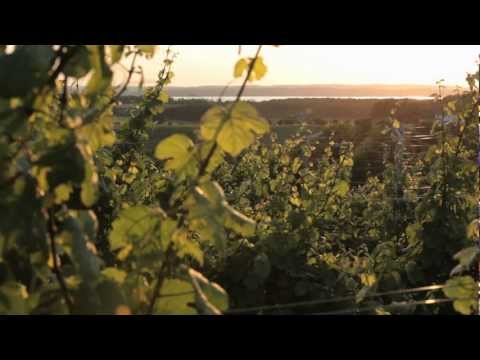 Wineries - A Pure Michigan Summer .