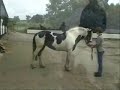 My Mare