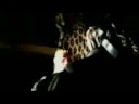 The revenge of Kong 2/La vengeance de Kong 2 Toy movie The revenge of Kong 2/La vengeance de Kong 2 Toy movie