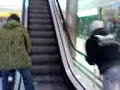 MOV00304.3gp
